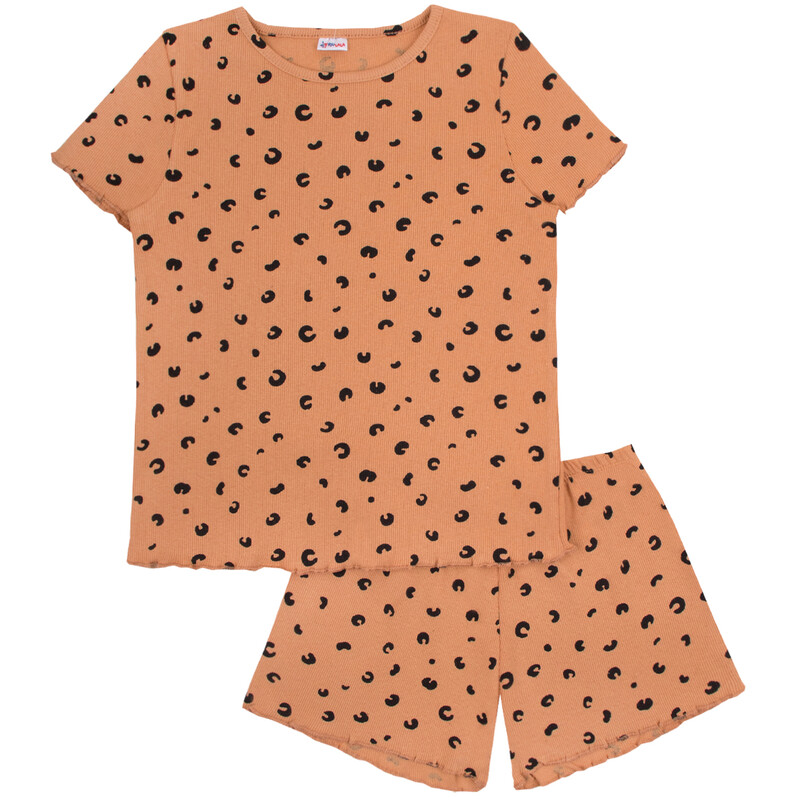 Комплект 7006400104