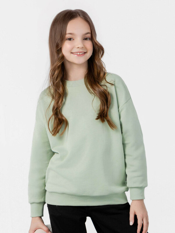 Свитшот ДД 206В24-4613-Ш