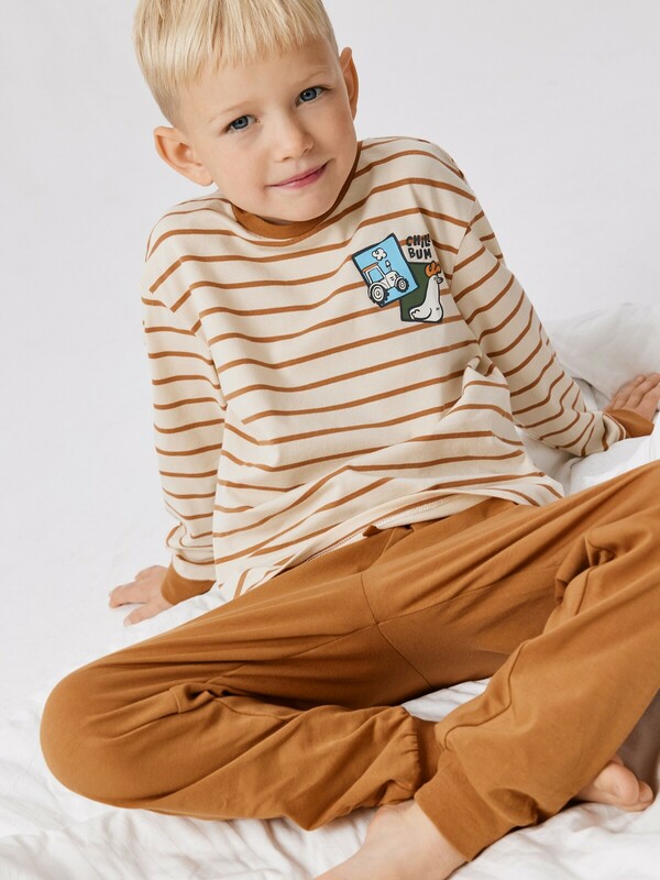 Набор детский для мальчиков ((1)джемпер и (2)брюки) Lich