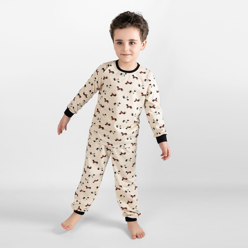 Пижама ДМ лонгслив и брюки 356М-171-С