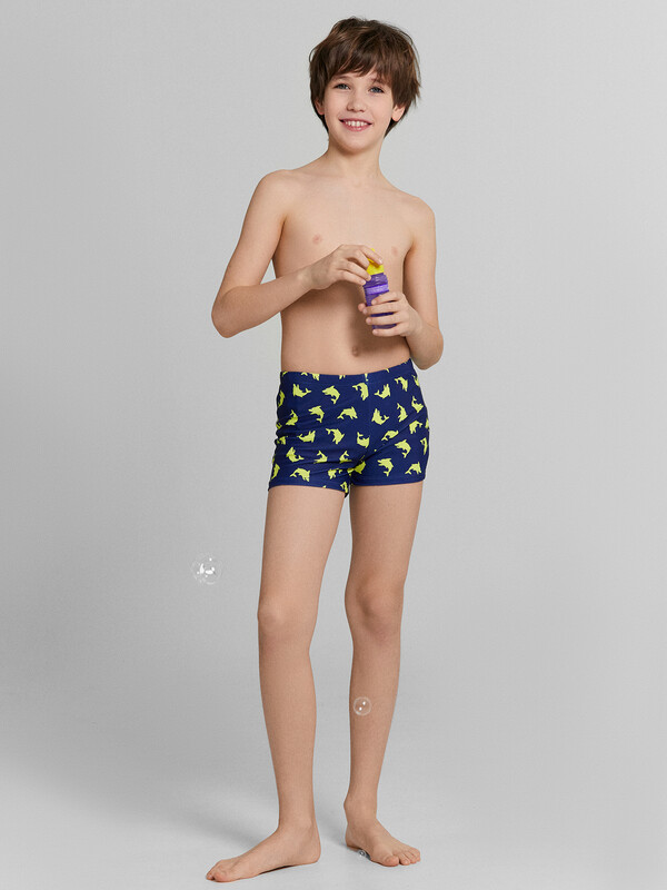 ТРУСЫ КУПАЛЬНЫЕ ДЛЯ МАЛЬЧИКОВ 703363