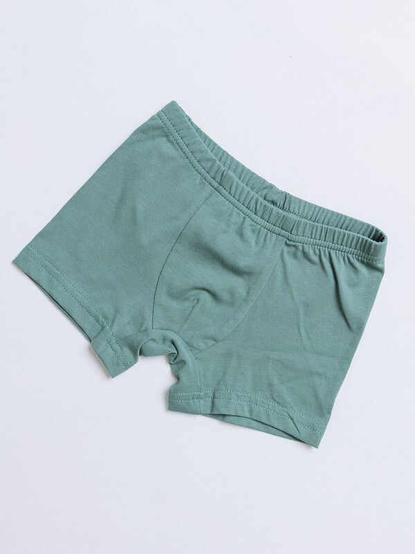 Боксеры для мальчика (010_НБ24)