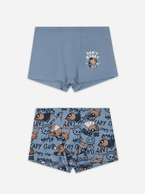 ТРУСЫ ДЛЯ МАЛЬЧИКОВ (2ШТ.) 413344-2