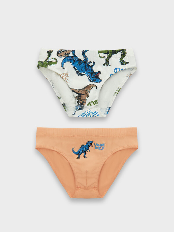 ТРУСЫ ДЛЯ МАЛЬЧИКОВ (2ШТ.) 413351-2