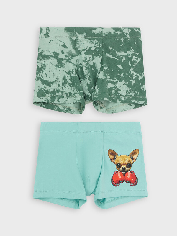 ТРУСЫ ДЛЯ МАЛЬЧИКОВ (2ШТ.) 413352-2