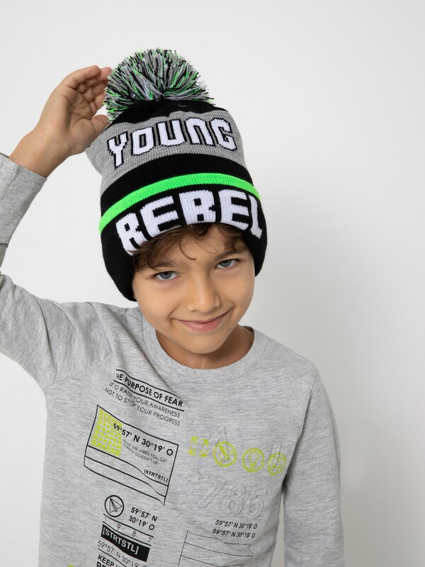 Шапка детская для мальчиков Erik
