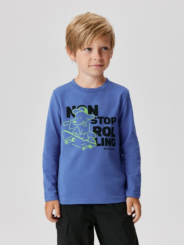 Джемпер детский для мальчиков Sirius