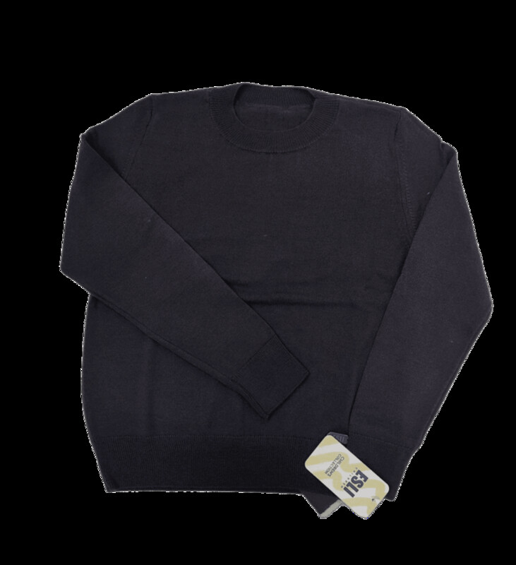 ESLI 24С-15СП Джемпер для мальчика