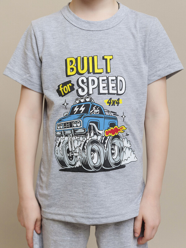 Футболка с коротким рукавом для мальчика (042_БК24)