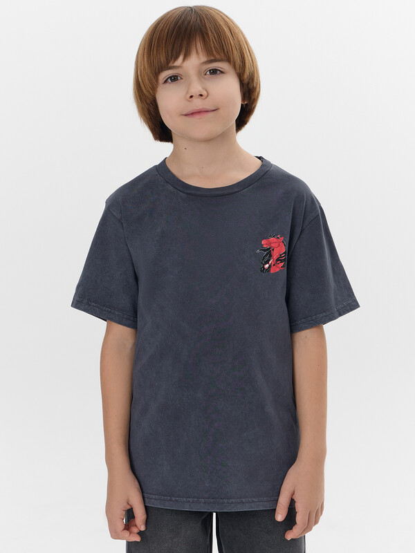 ФУТБОЛКА ДЛЯ МАЛЬЧИКОВ 113433