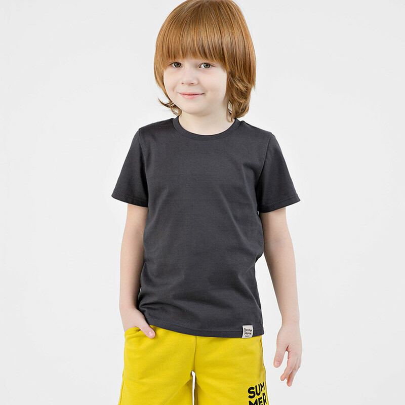 Футболка ДМ «Basic» 267К-161-Г