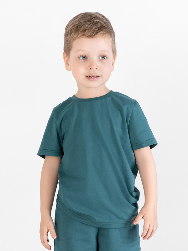 Футболка ДМ «Basic» 267К-161-С