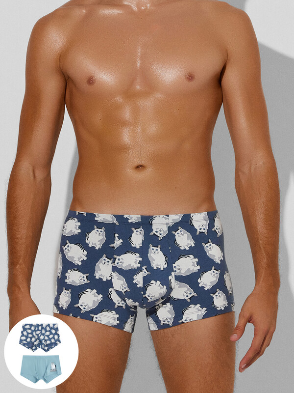 ТРУСЫ МУЖСКИЕ (2ШТ) 411216-2