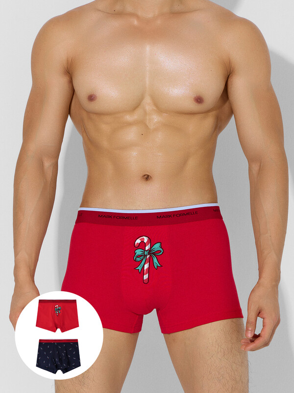 ТРУСЫ МУЖСКИЕ (2ШТ) 411228-2