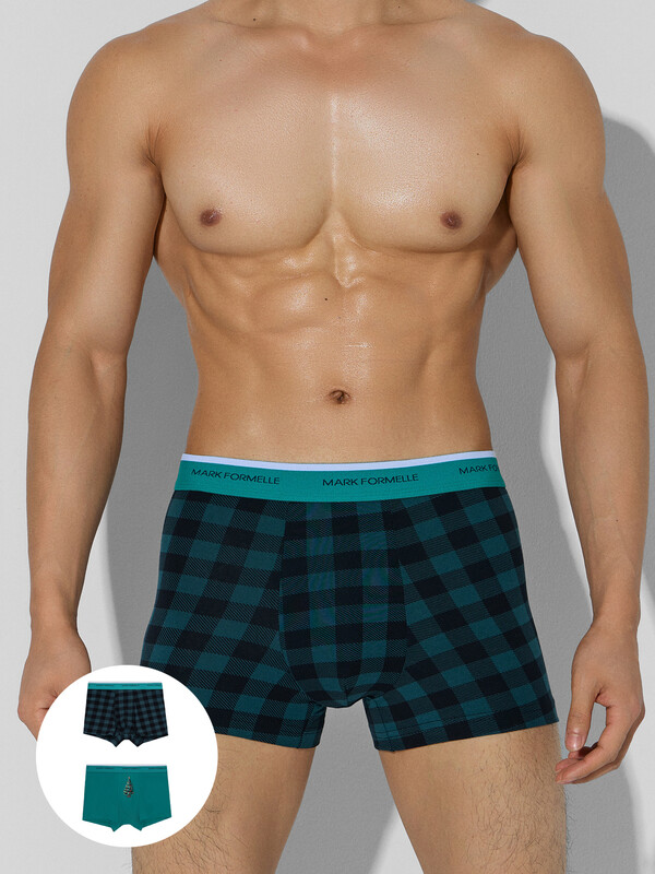 ТРУСЫ МУЖСКИЕ (2ШТ) 411228-2