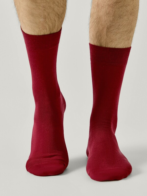 CONTE Носки мужские 24С-148СП