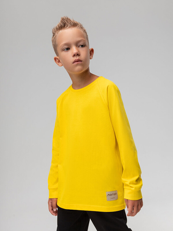 Лонгслив 117-13