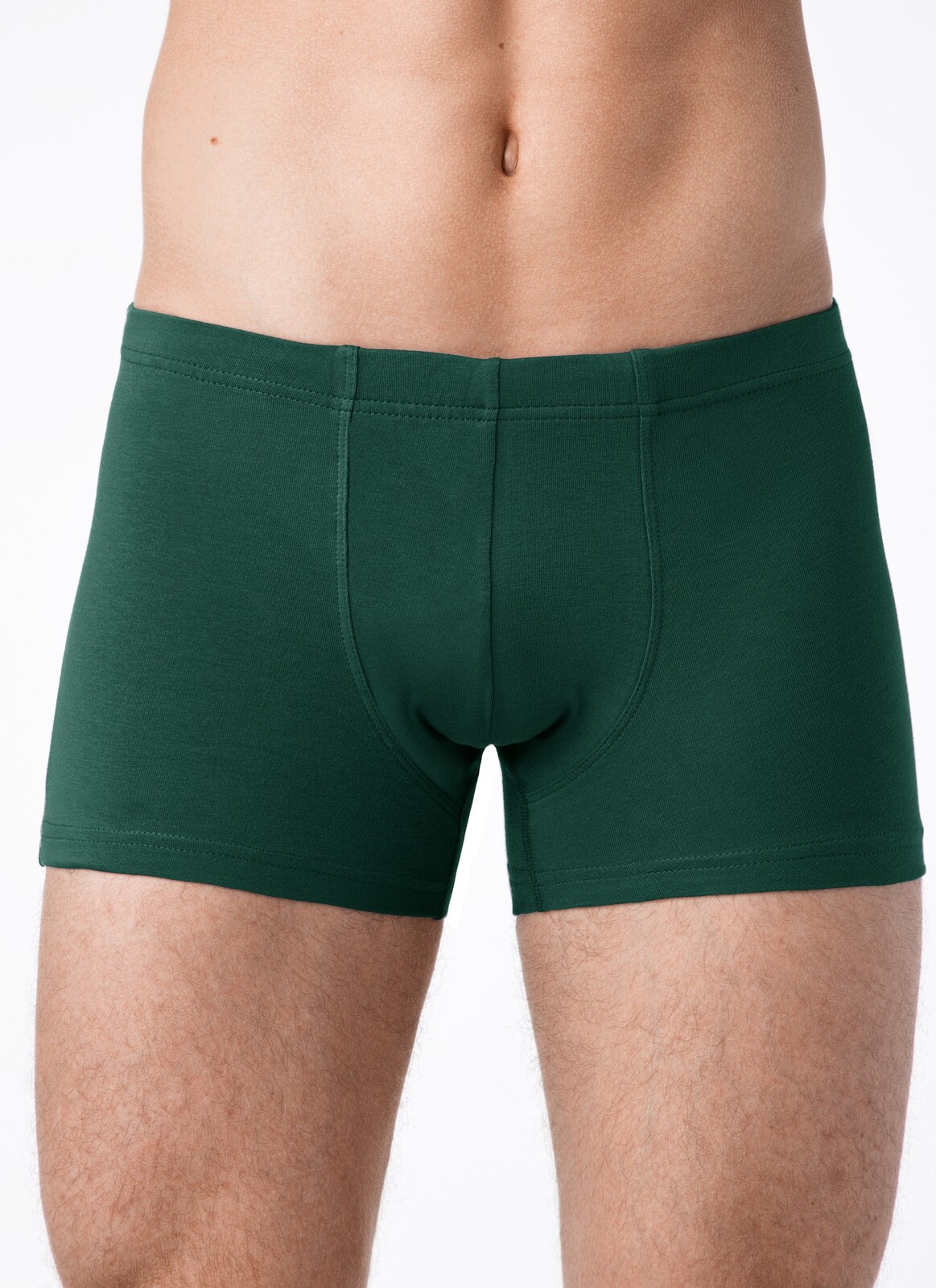 Брестские Трусы мужские ALFA BOXER 16С6300