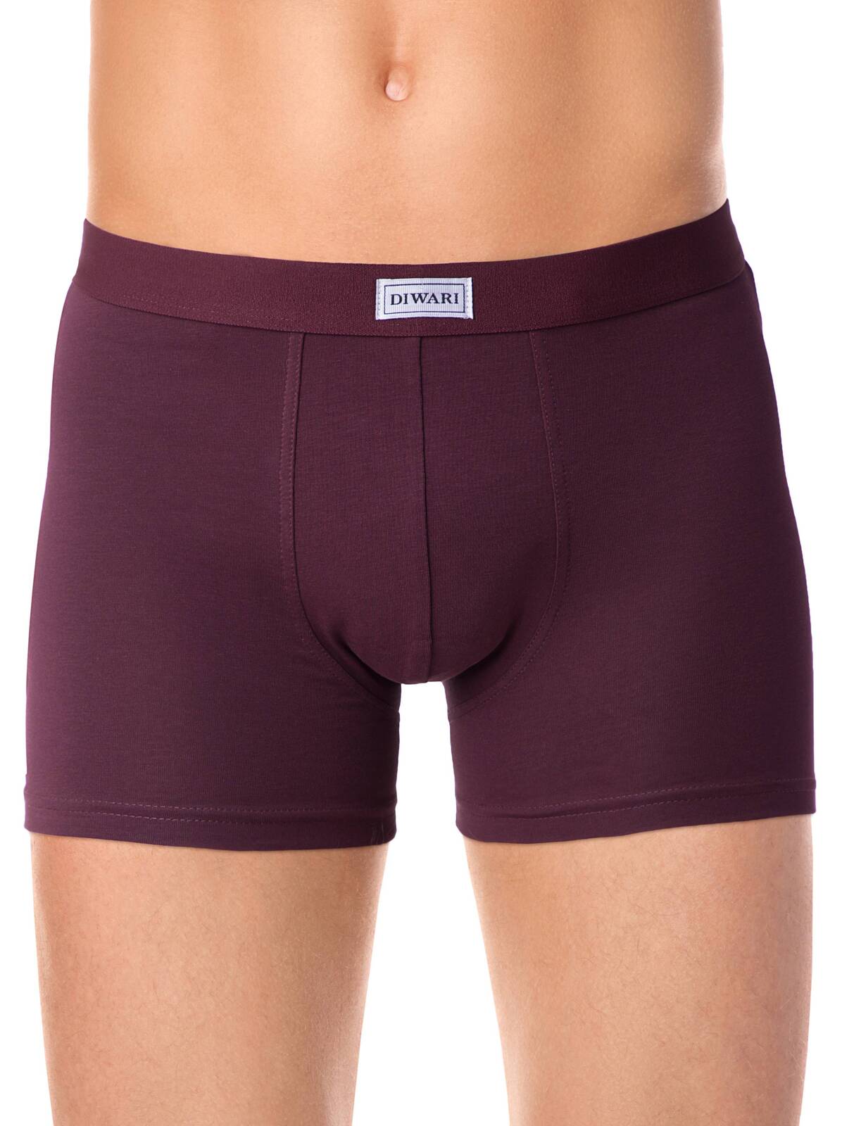 Трусы мужские DIWARI BASIC SHORTS 700