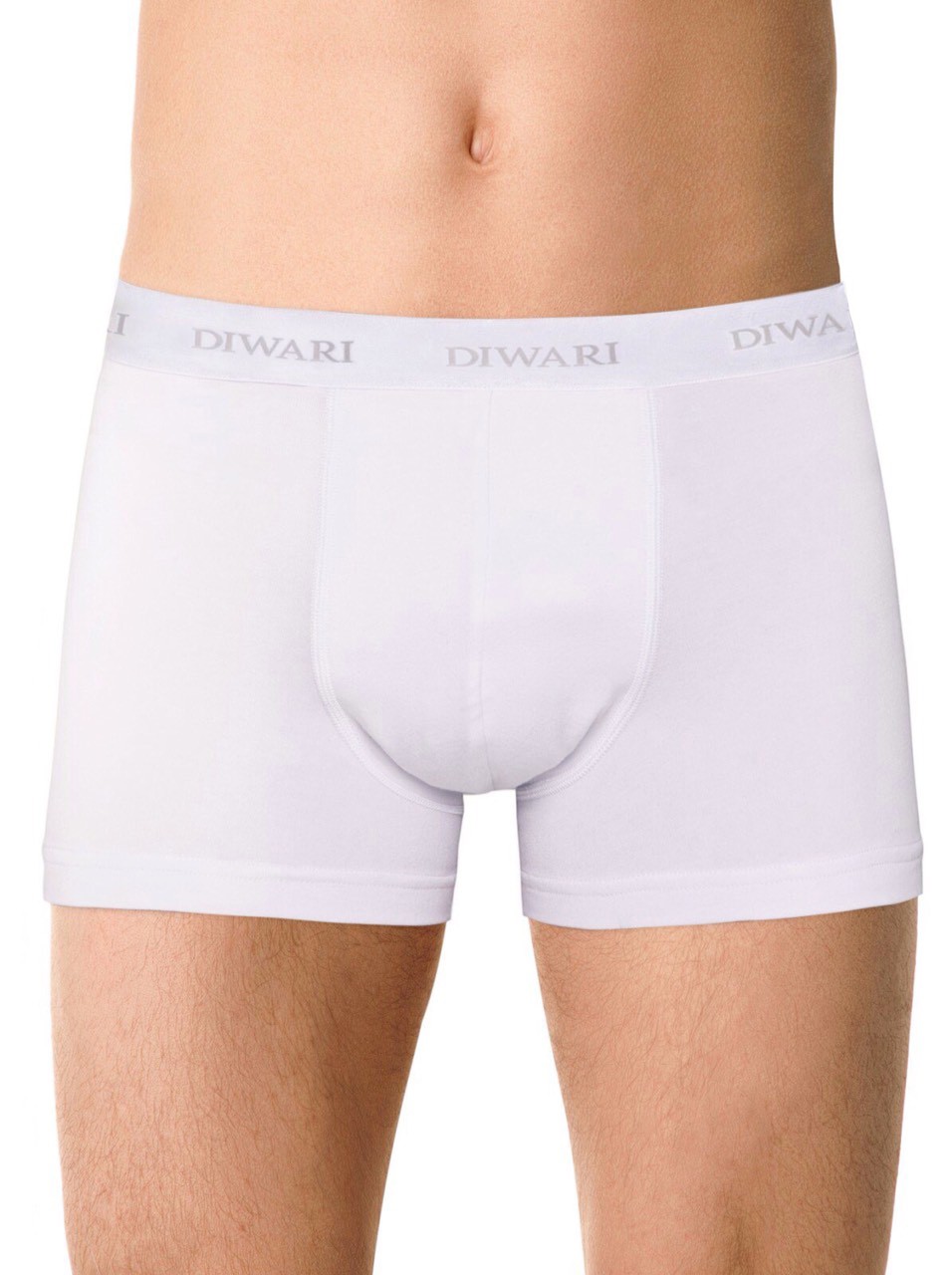 DIWARI BASIC MEN MSH 2147 Трусы мужские