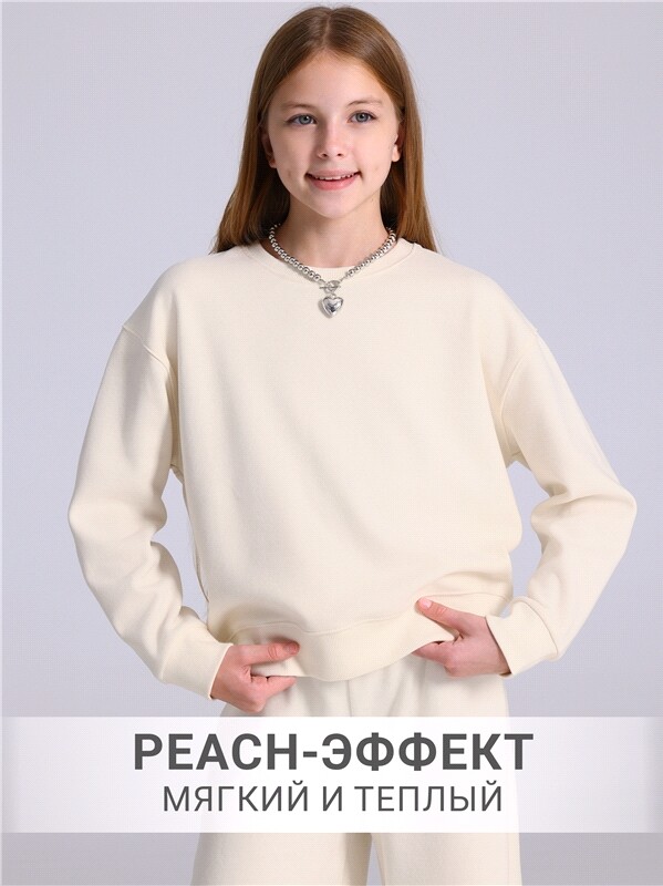 свитшот+брюки 2ДСБ5801301