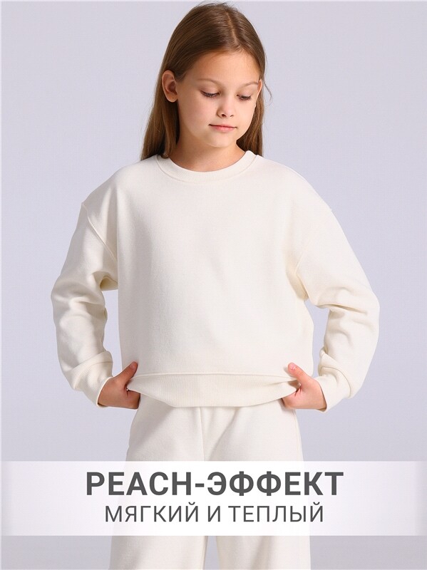 свитшот+брюки 2ДСБ5802301