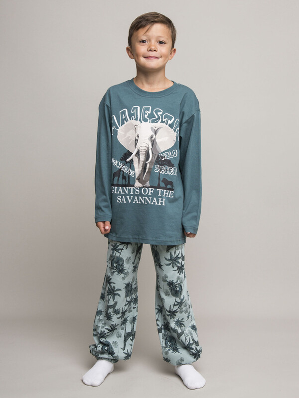 Комплект для мальчика (футболка длинный рукав и брюки)