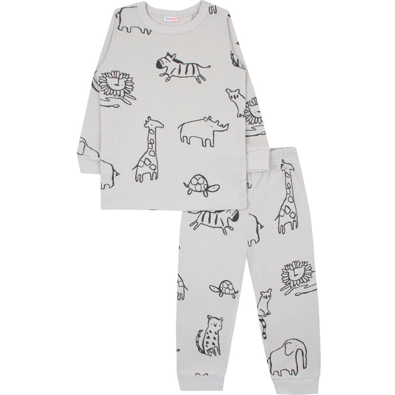 Комплект 6817700207