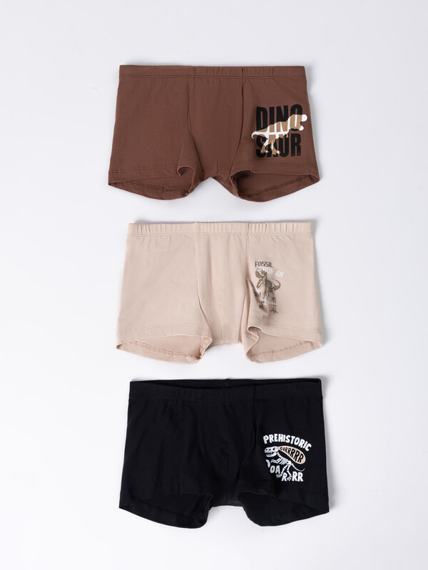 ТРУСЫ ДЛЯ МАЛЬЧИКОВ (3ШТ.) 413342-3