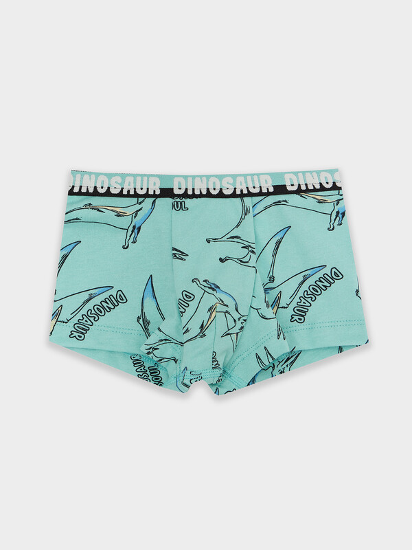 ТРУСЫ ДЛЯ МАЛЬЧИКОВ 413345