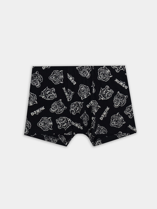 ТРУСЫ ДЛЯ МАЛЬЧИКОВ 413352