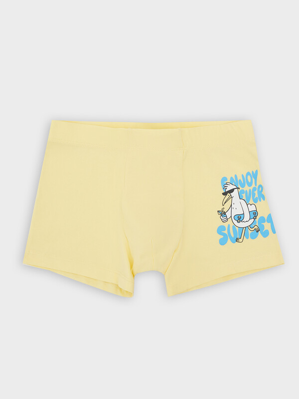 ТРУСЫ ДЛЯ МАЛЬЧИКОВ 413352