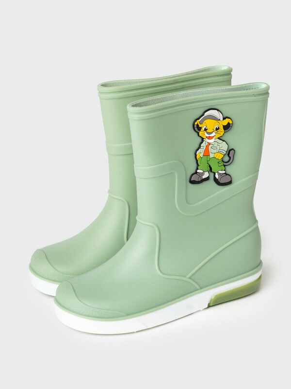 Сапоги резиновые для мальчиков