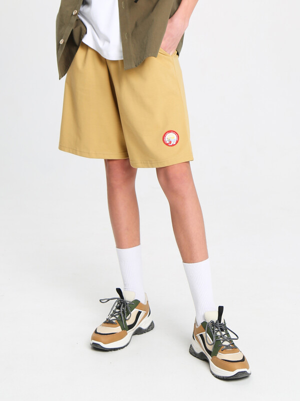 44103 Шорты P710.05