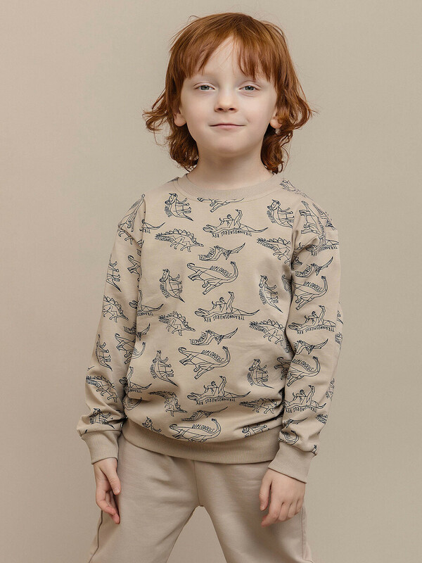 Свитшот для мальчика (010_ЛС25)