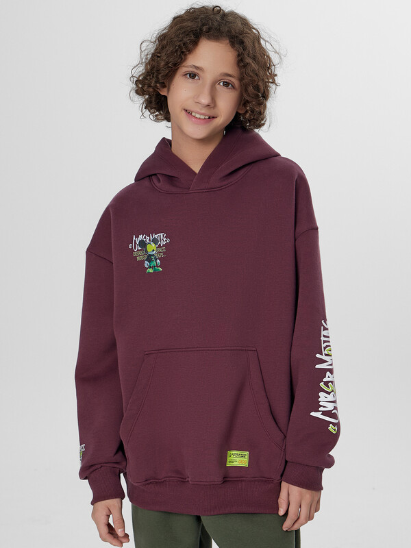 ХУДИ ДЛЯ МАЛЬЧИКОВ 123416-1