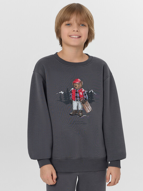 СВИТШОТ ДЛЯ МАЛЬЧИКОВ 123431/1