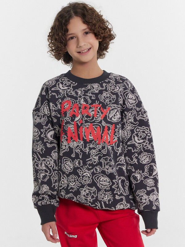 СВИТШОТ ДЛЯ МАЛЬЧИКОВ 123437/1