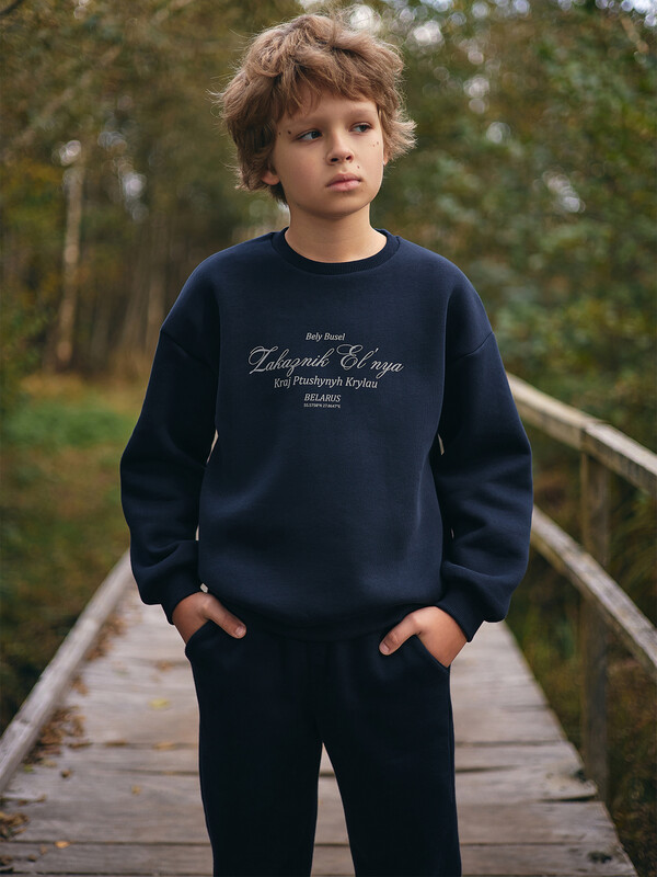 СВИТШОТ ДЛЯ МАЛЬЧИКОВ 123447