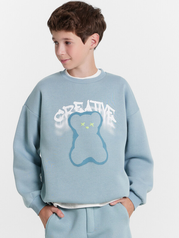 СВИТШОТ ДЛЯ МАЛЬЧИКОВ 123447