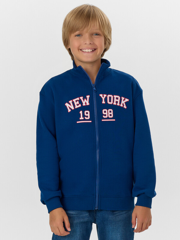 ТОЛСТОВКА ДЛЯ МАЛЬЧИКОВ 123448