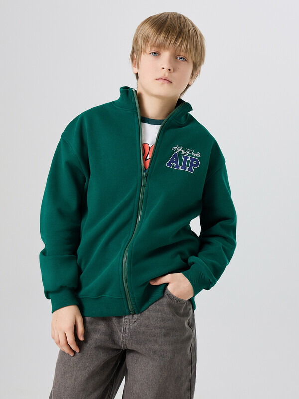 ТОЛСТОВКА ДЛЯ МАЛЬЧИКОВ 123448