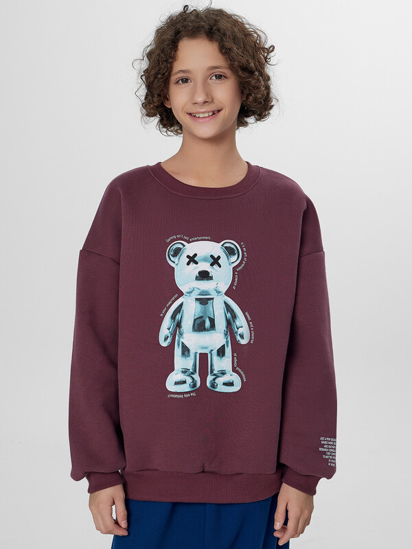 СВИТШОТ ДЛЯ МАЛЬЧИКОВ 123466