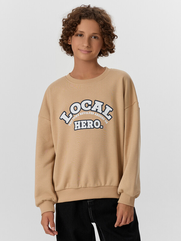 СВИТШОТ ДЛЯ МАЛЬЧИКОВ 123466