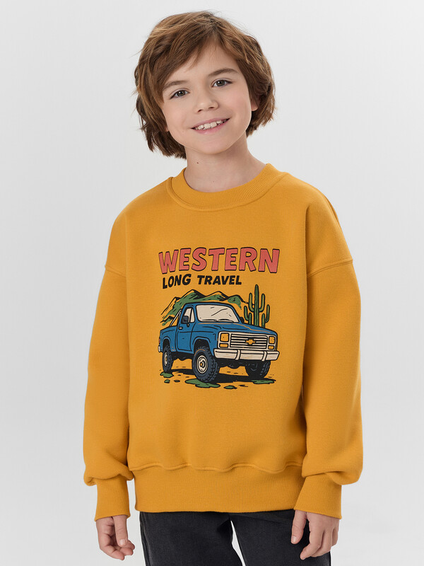 СВИТШОТ ДЛЯ МАЛЬЧИКОВ 123487