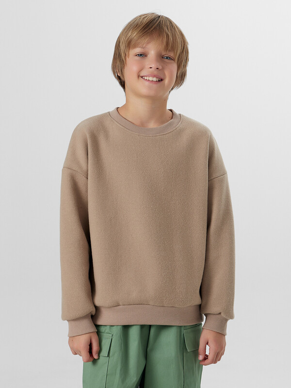 СВИТШОТ ДЛЯ МАЛЬЧИКОВ 123489