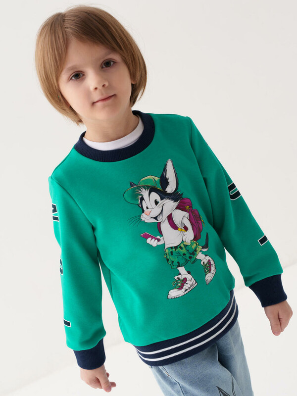 Толстовка трикотажная для мальчиков