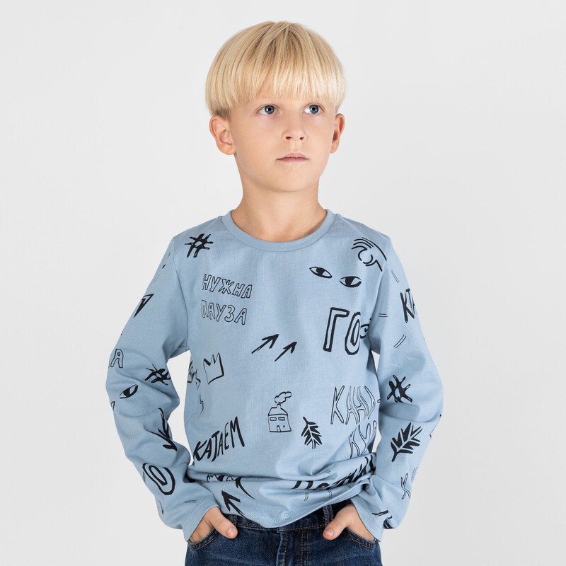 Лонгслив ДМ 178Л-161