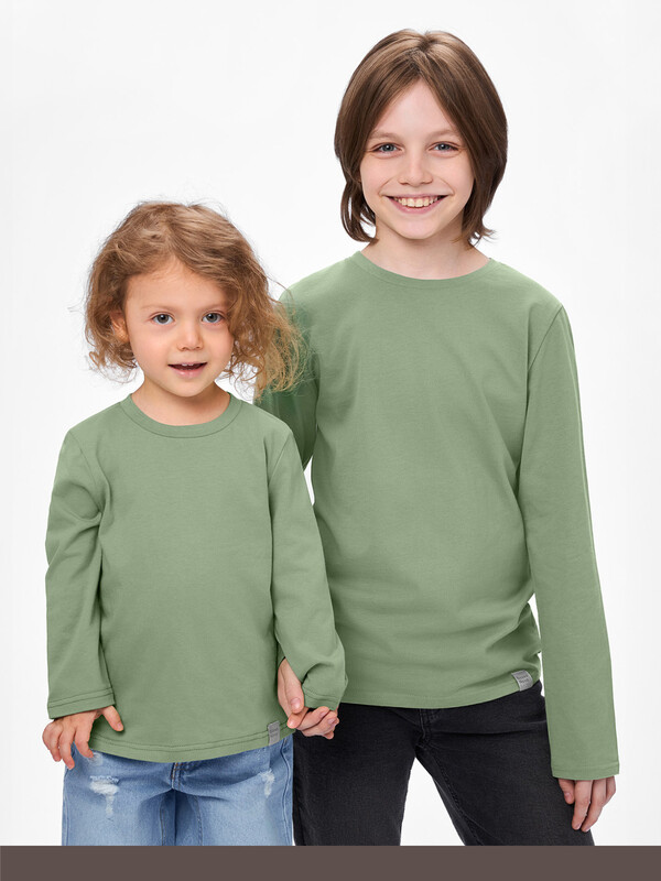 Лонгслив ДМ «Basic» 205К-161-Х