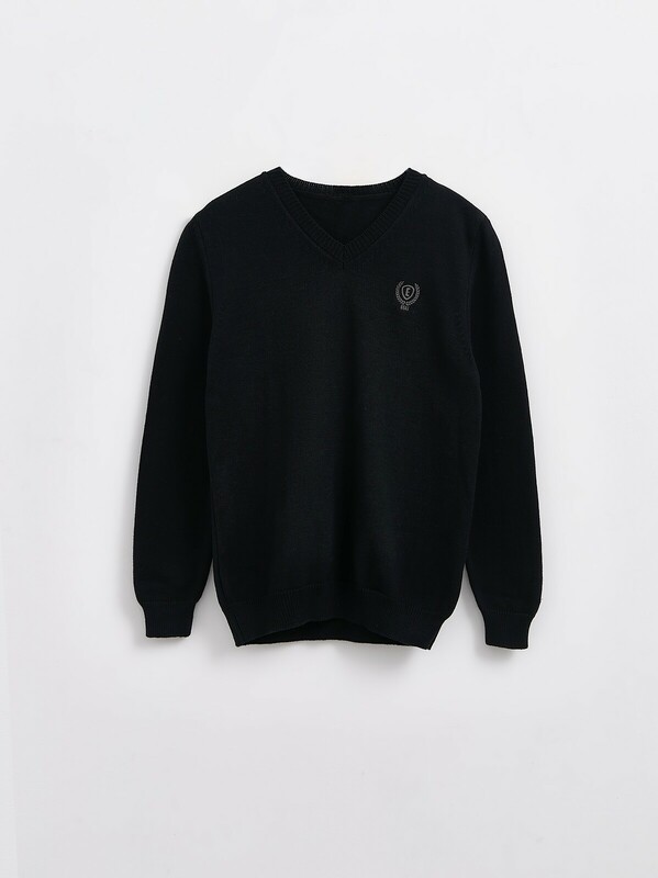 Джемперы ESLI 20C-53СП Джемпер для мальчика